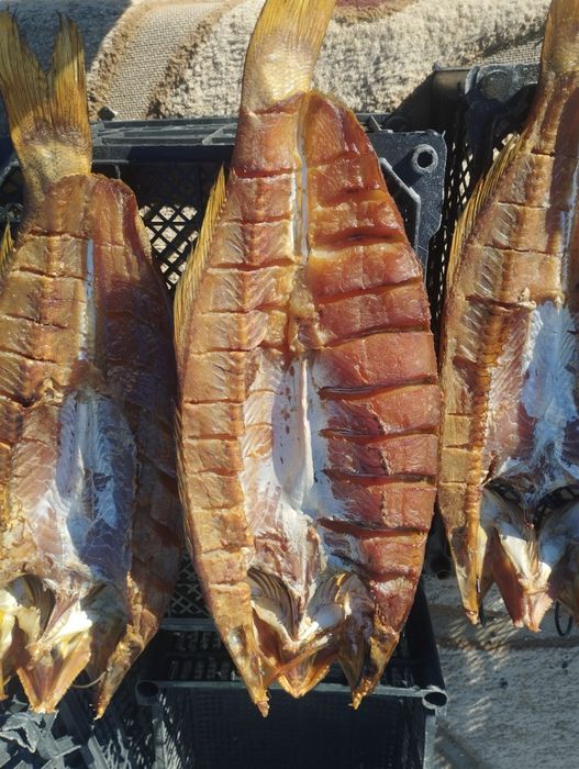 Копченый судактар