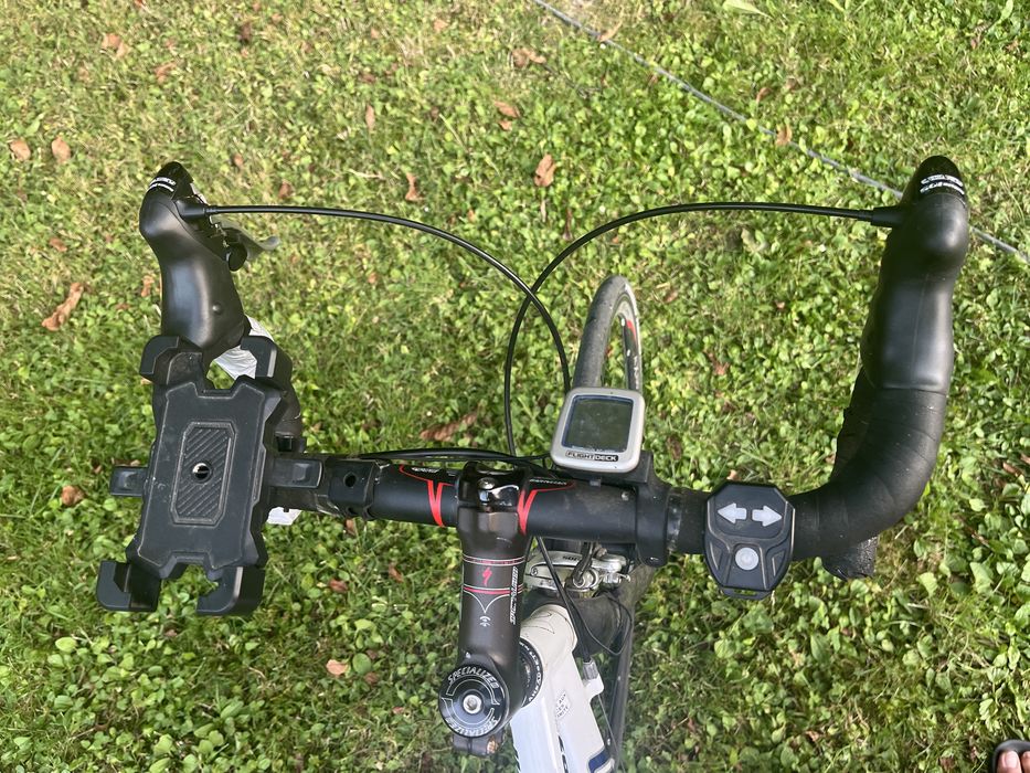 Cursiera Specialized Elite