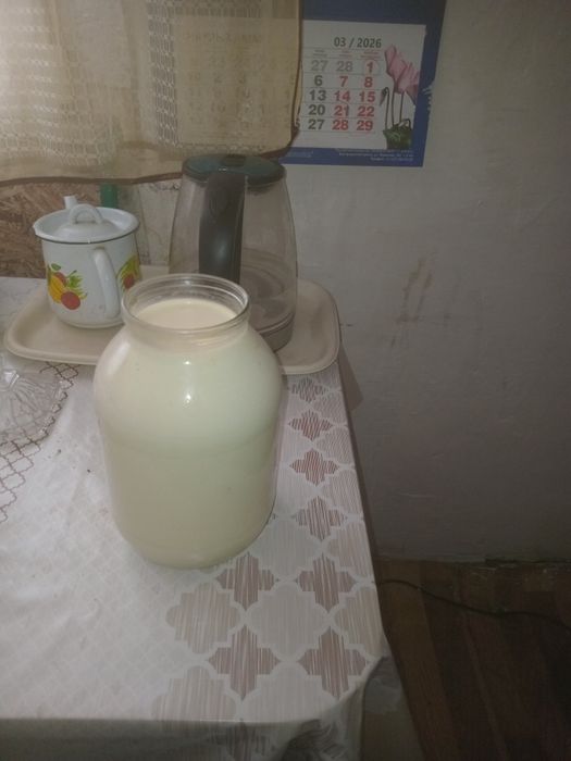 Продам молоко домашние