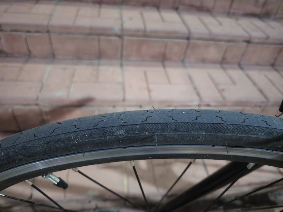 Фикс/синглспид Reid Harrier 2.0