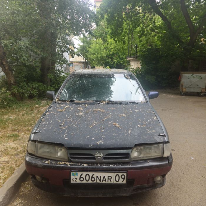 Nissan primer p10