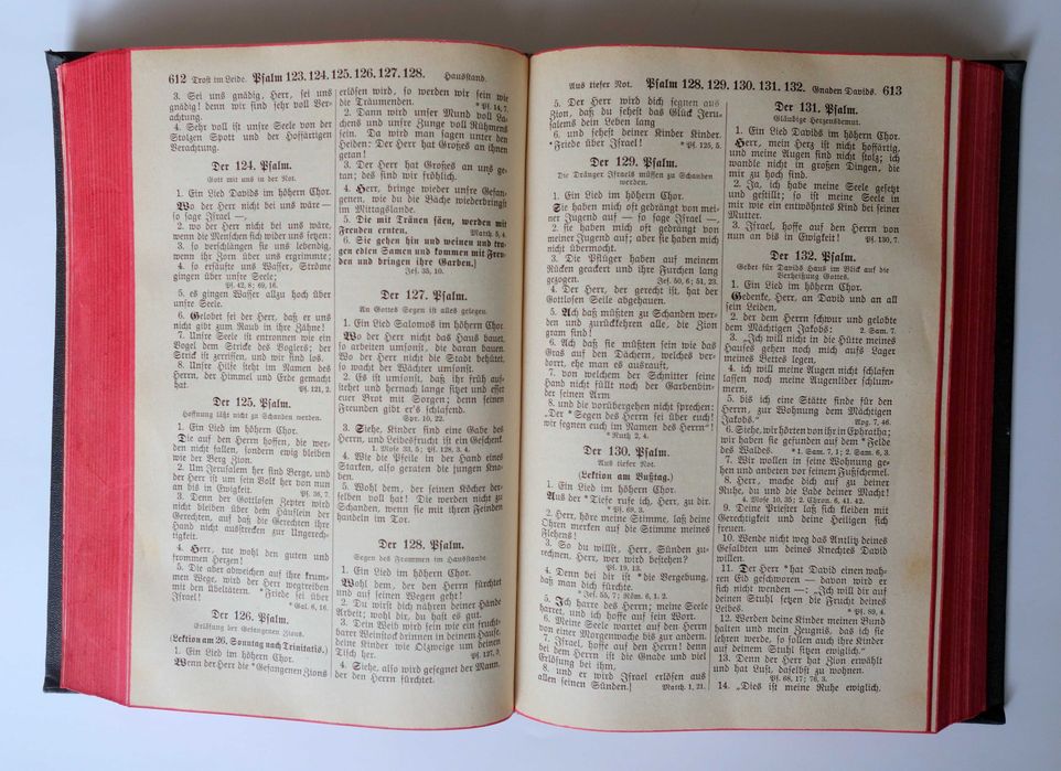 Стара Библия. 1948г. Мартин Лутер. Немски език.