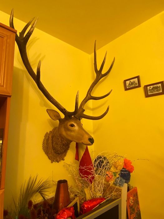 Vand trofeu cerb sculptat