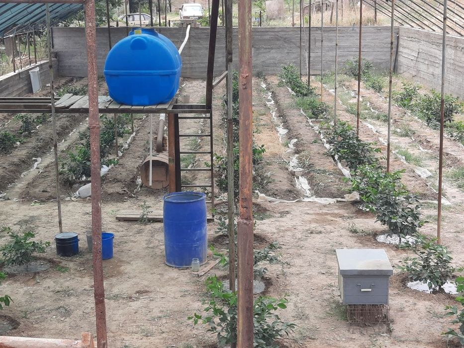 Продаётся дача  с Теплицей