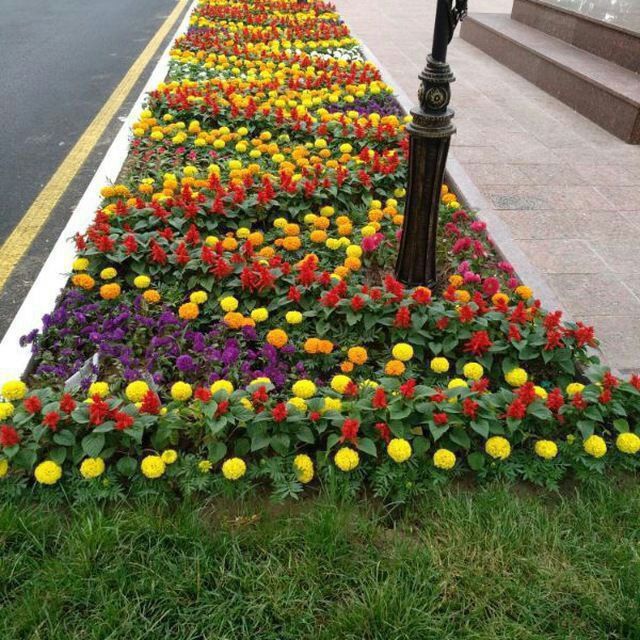 Газон ланшафт киламиз