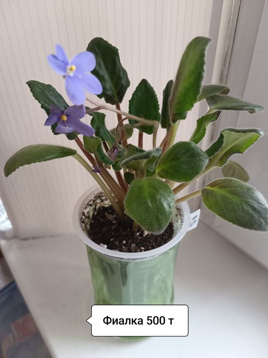 Продаю обои ширина 1.06