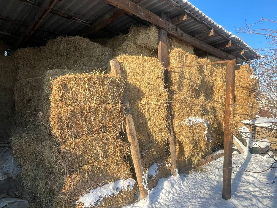 Сено              .