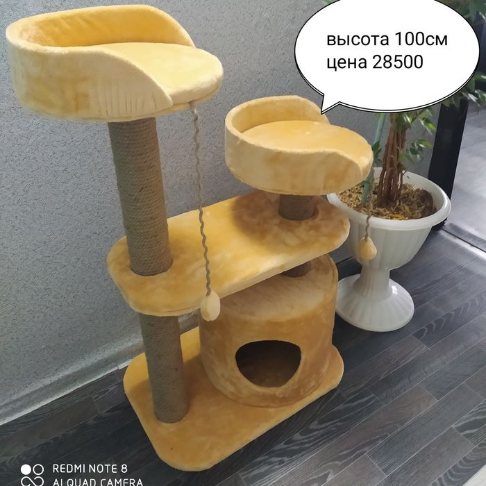 Царапалки для кошек