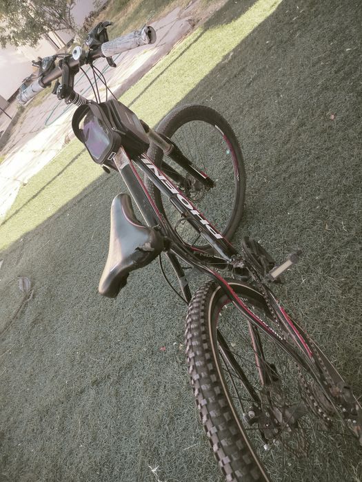 Велосипед PHOENIX горный