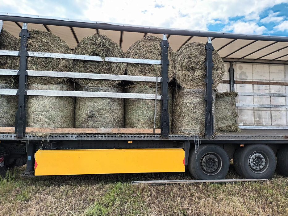 Baloti fan sau lucerna.Livram la TIR MIN 40 Rotuni 1,2x1,2 m sau dreptunghiulari min 500.Fan sau lucerna. Transport inclus RO UE.nu dam la bucata