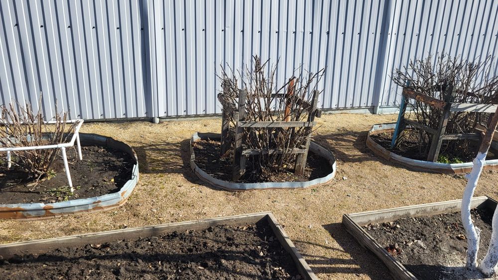 Продам дачу район Пестрого