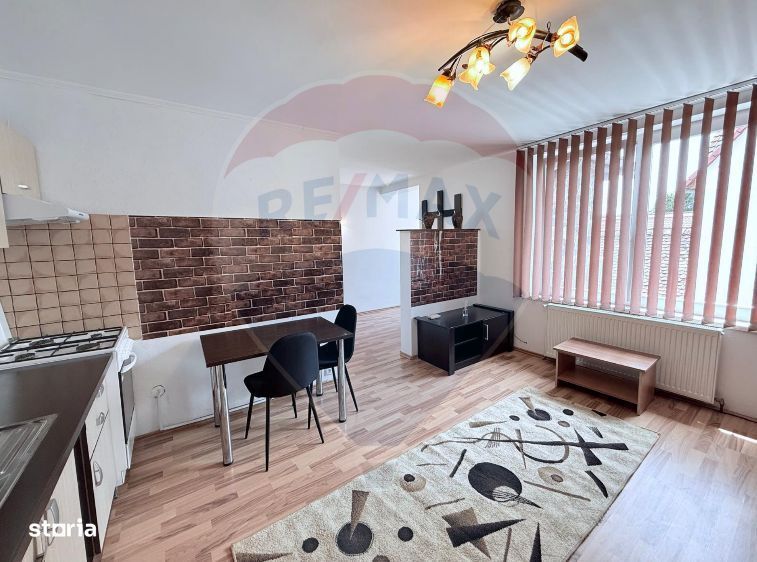Apartament spațios-3 camere-la curte în Turnișor