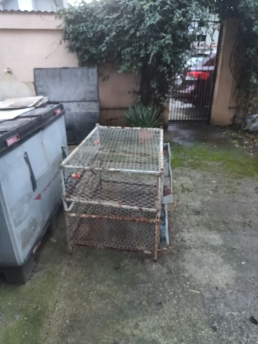 Cuști prepelițe, capacitate 50 bucăți/ cușcă.