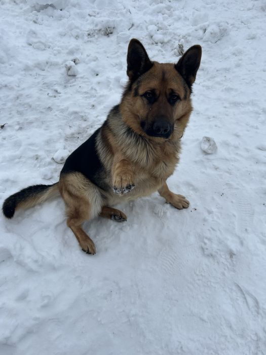 Приглашаем на вязку