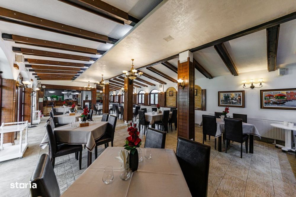 Complex HoReCa functional – 13.000 mp, venituri active, 15 km Timiso
