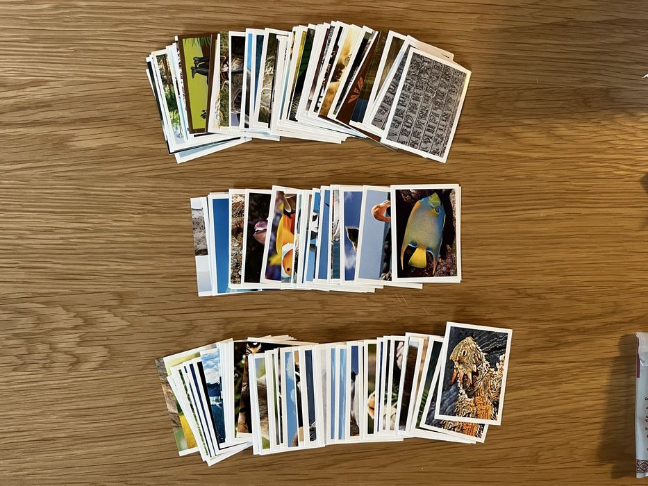 Стикери от албуми, карти, тазота - животни, рекорди и други