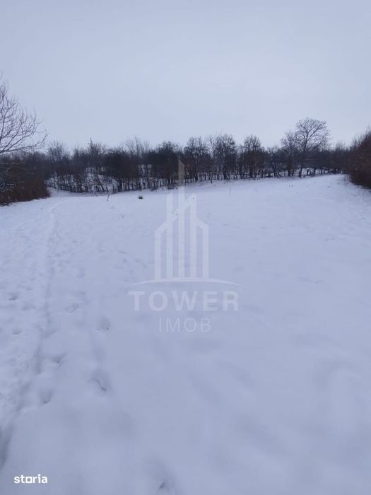 Teren intravilan 2.295 mp, deschidere 60 m – Rășinari, comision 0%