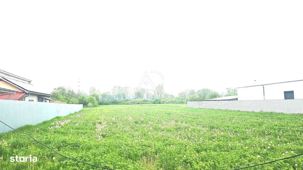 Teren de vânzare în Dănești