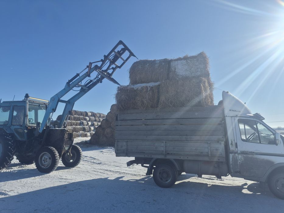 Продам Газель работяга бартабои