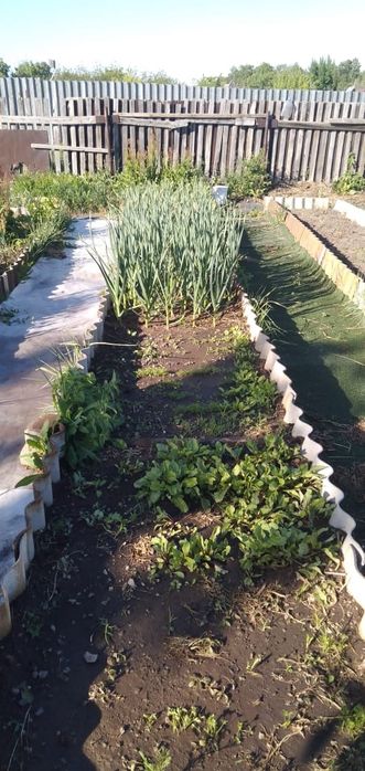 Продам дачу на Уралочке