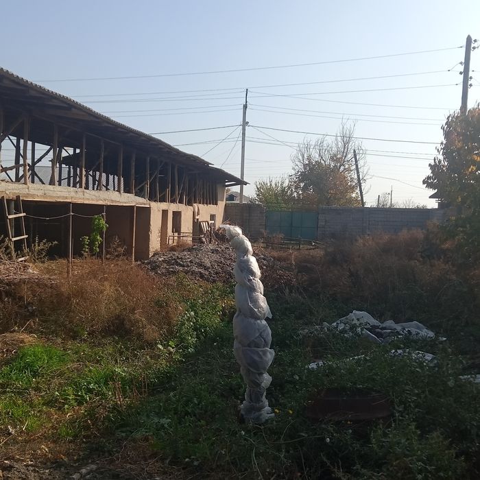 Юкори Чирчик Хван махалласи