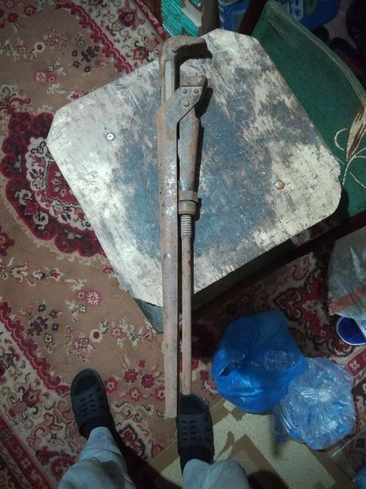 Gazivi kulich savetiski