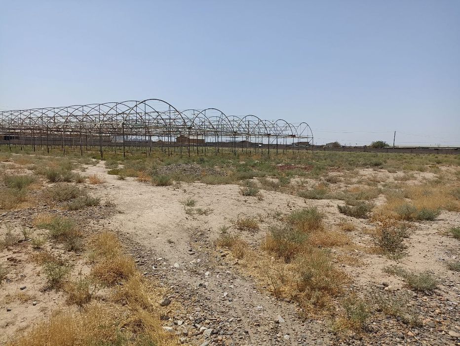 Yer maydoni sotiladi