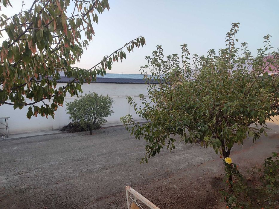 Уй сотилади, Uy sotiladi