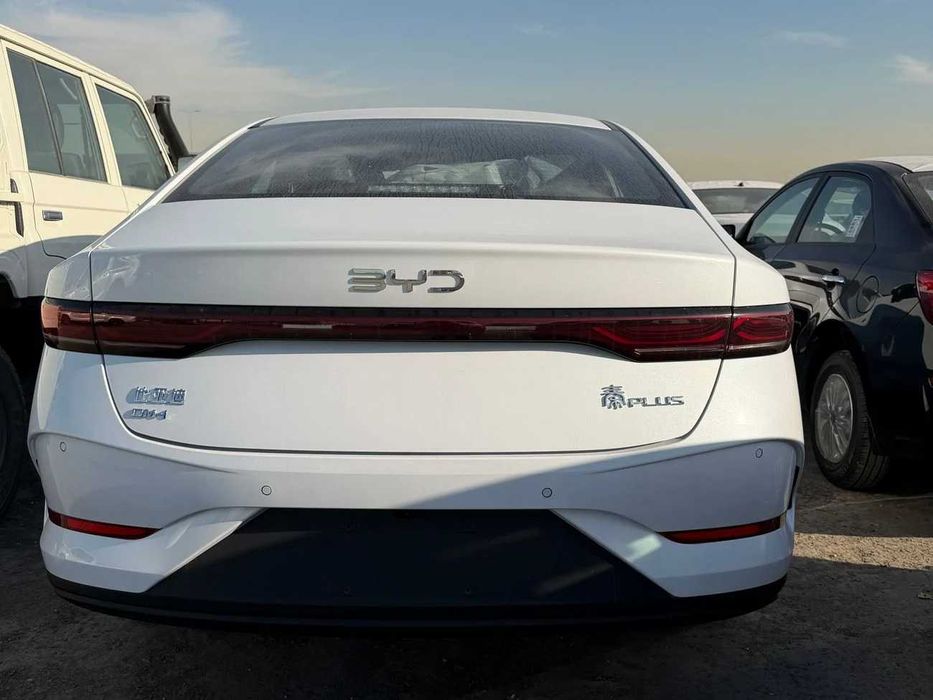 Byd Qin Plus pod zakaz