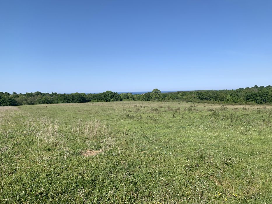 Продавам цял терен от 20 дка земеделска земя до Царево