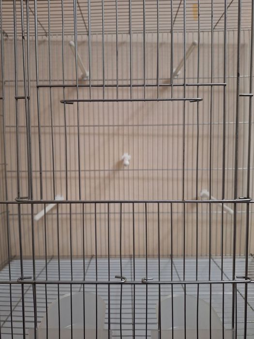 Qafas valer sotiladi