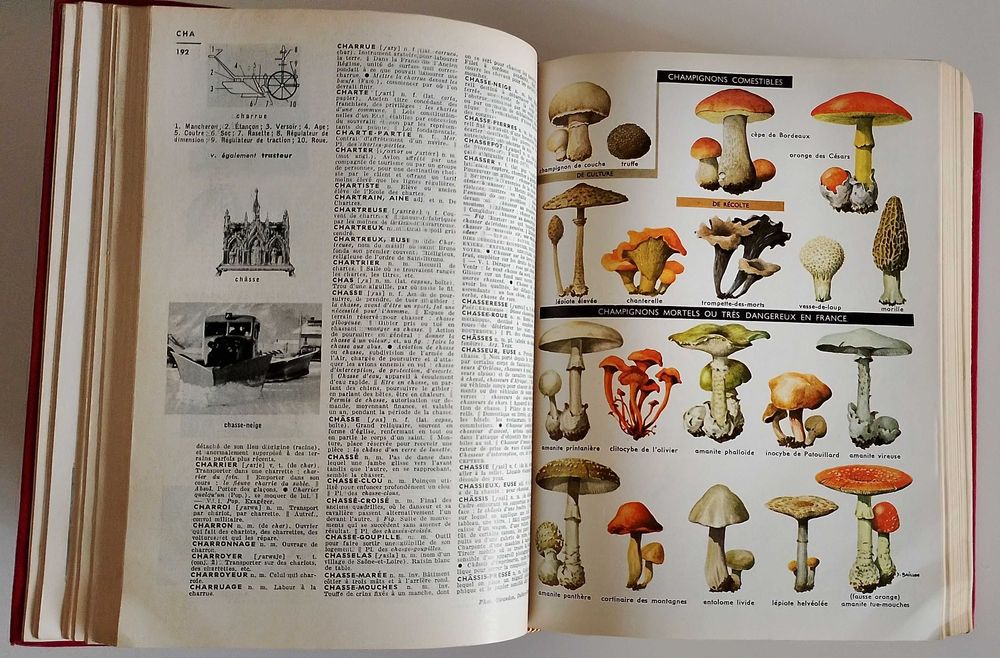 Енциклопедия LAROUSSE - 1980, 1800 страници