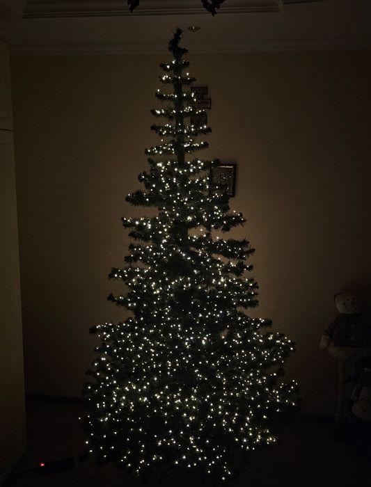 Продам ёлку (без игрушек :3)