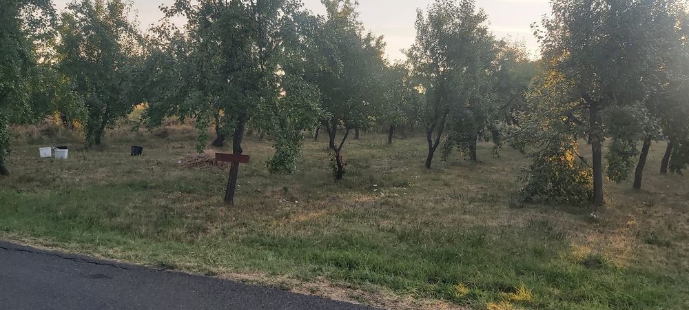 Vand teren intravilan+extravilan Cobia/Dambovita