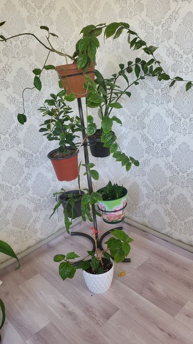 Продам подставку