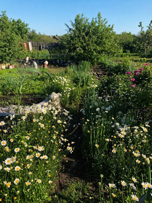 Продам дачу 17 маршрут 8 соток