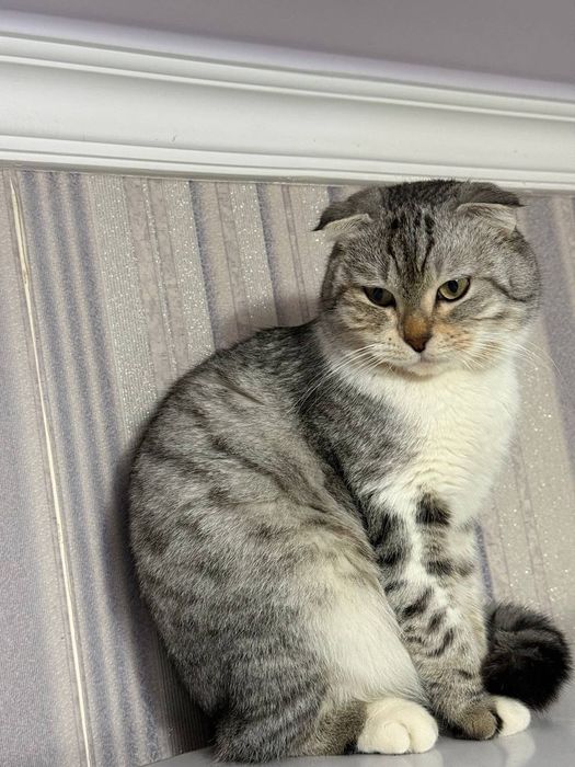 Приглашаем на вязку