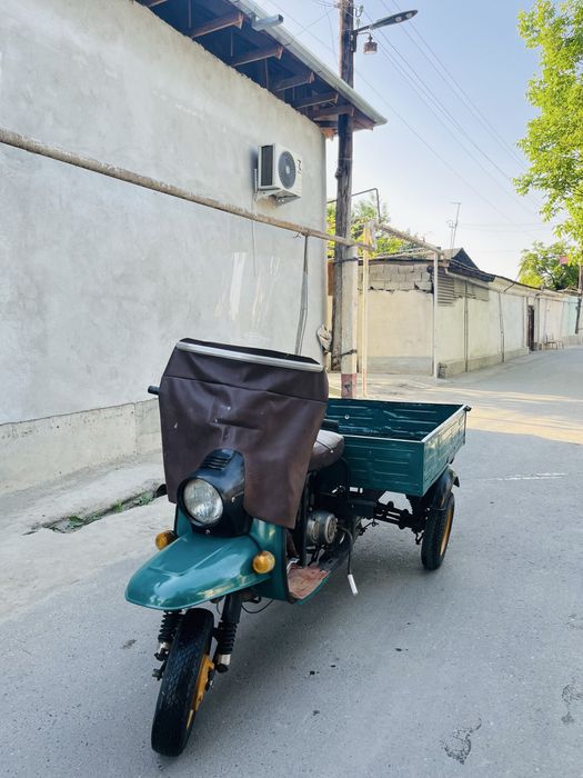 Муравей янги холатда