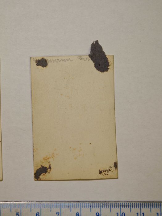 Lot 2 Fotografii / Poze Vechi WW2 - Război (Anii '30) Colecție