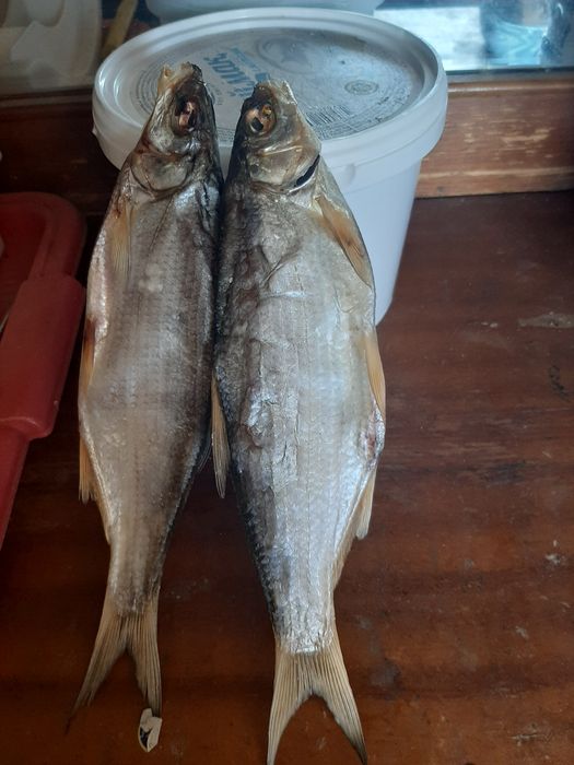 Рыба копчёная вобла кепкен балық