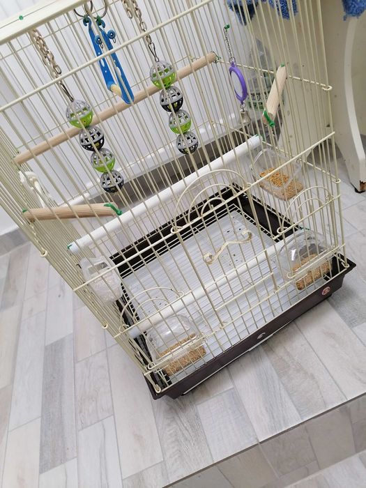 Colivie păsări XXL