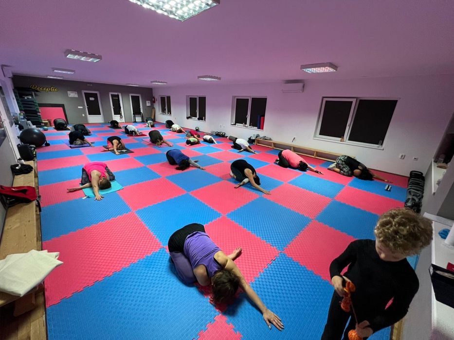 Saltea TATAMI Puzzle 1000x1000x25mm  pentru sali Judo, Karate, MMA