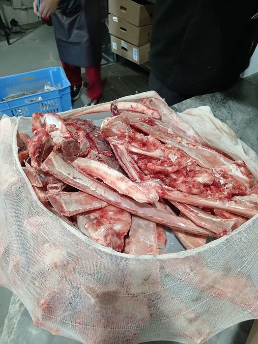 Кости для сабак каропка 1300