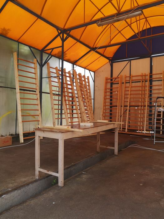 Spalier gimnastica cu 12 trepte, 200/80cm, lacuit