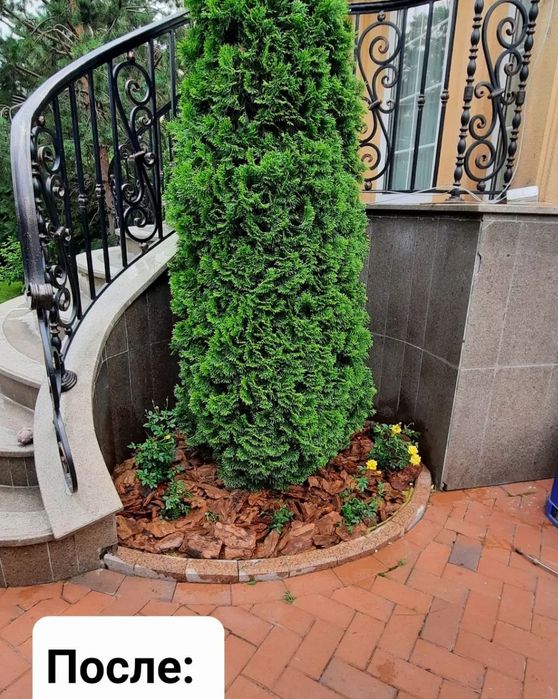 Садовник с опытом работы более 7 лет