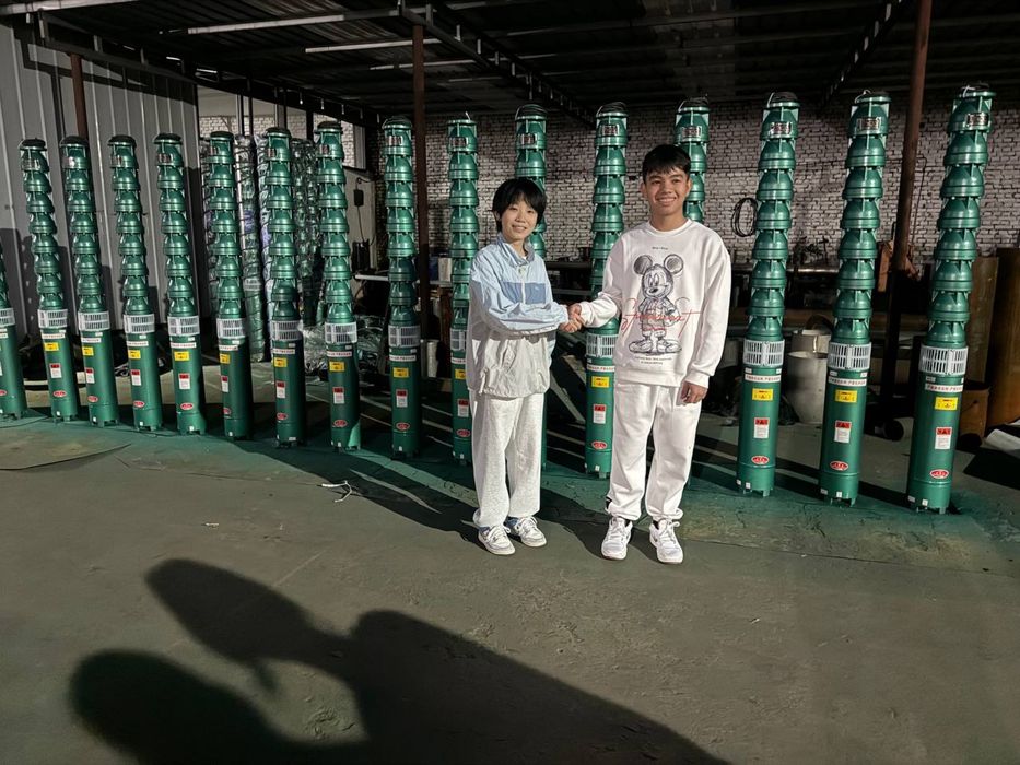 Глубинный дренажный насос ЕЦВ для скважина 8-100-33