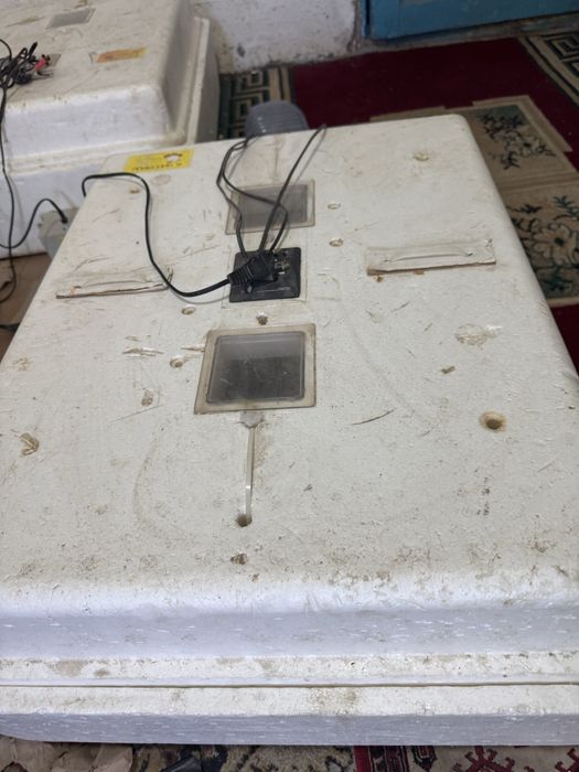 инкубатор несушка