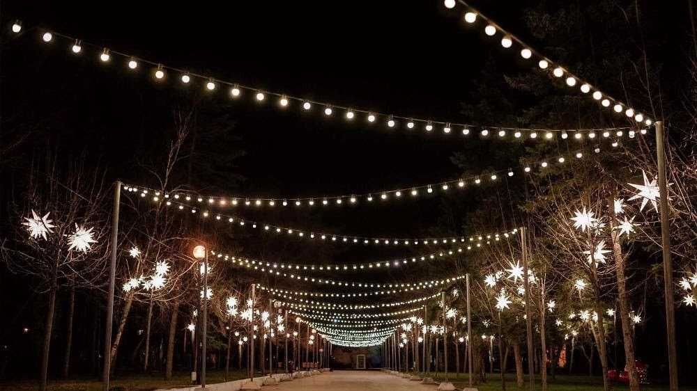 Ретро гирлянды неон дюралайт с патронами LED Лед Оптом Доставка по РК4