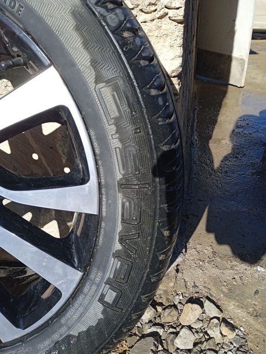 Шинанын ози сатылады