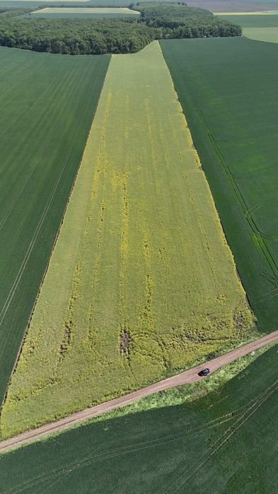 Vand teren extravilan Fundulea  83345 mp